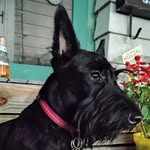 John Twining - @john_.twining - Instagram