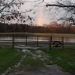 John Tyree - Facebook