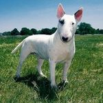 @john__tyson - Instagram