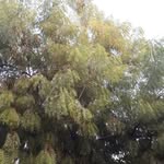 John tyson - @johntyson131 - Instagram