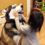 John Tyson - @babies.with.pets - Instagram
