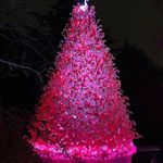 Holly Chickos John Uberti - @hollychickos - Instagram