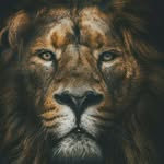john ugochukwu - @johnu1322 - Instagram