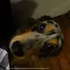 johnyumbel - @johnyumbel - TikTok