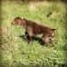 John Utterback - Facebook