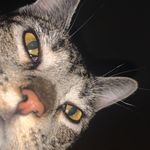 john vacek - @john_vacek - Instagram