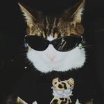 Jõhñ Vãîphãî Jõhñ - @johnvaiphai - Instagram