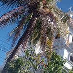 John Valladares - @valladares228 - Instagram