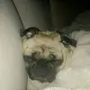 Alex Valor John - @alex.valor.john - TikTok