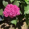 John Van Buskirk569 - @johnvanbuskirk569 - TikTok