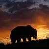 John Van Buskirk Sr. - @john.van.buskirk - TikTok