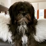 John Vandenberghe - @jvandenberghe - Instagram