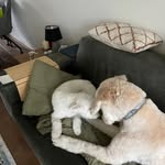 John Van der Meer - @johnvandermeer51 - Instagram