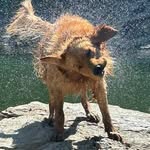 John Vandermeer - @vandermeercheryl - Instagram