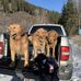 John Vandermeer - Facebook