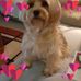 John Vanderploeg - Facebook