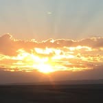 Lynn Johnston Vandorn - @johnstonvandorn - Instagram