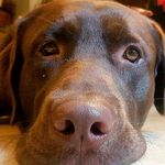 John VG - @johnvangorder - Instagram