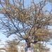 Jonathan Mzungu Vanmore - Facebook