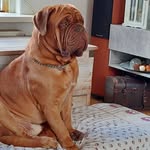 John van Opijnen - @john.vanopijnen - Instagram