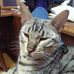 John Varcoe - Facebook