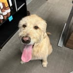 John Vaught - @jvaught4 - Instagram