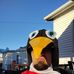 John Vaught - Facebook