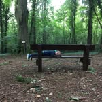John Veale - @john_veale - Instagram