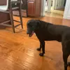 John Veasley - @john.veasley2 - TikTok