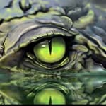 John Veilleux - @veilleuxgator - Instagram