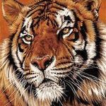 John Vess - @john.vess.58 - Instagram