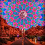 John Vickers - @johnvickers42 - Instagram