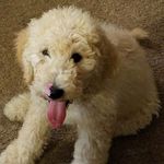 John Vigil - @johndeer7376 - Instagram