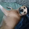 John Vigilante - @viginator23 - TikTok