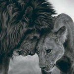 John Vigilante Seguridad - @johnvigilante - Instagram