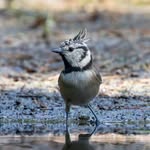 John V - @john.vink.58 - Instagram