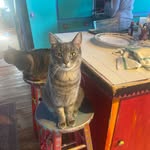 John Viscardi - @jviscardi990 - Instagram