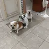 john vitto - @john.vitto - TikTok
