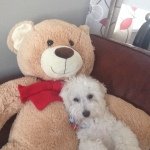 Johnvokey - @johnvokey11trwntoca - Instagram