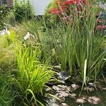 John Voller - @the_tardebigge_gardener - Instagram