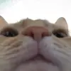 Johnvosss - @johnvosss - TikTok
