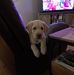John Voye - Facebook