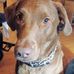 John Vrooman - Facebook