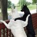John Vuckovich - Facebook