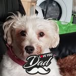 John Wagstaff - @wagstaffjohn112 - Instagram