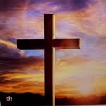 John Wakim - @johnwakim0 - Instagram