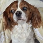 John Walborn Jr - @johnwalbornjr - Instagram