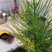 Jan Waldmann - Facebook