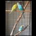 Johan Waldmann - Facebook