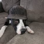 John Waldorf - @john.waldorf.568089 - Instagram